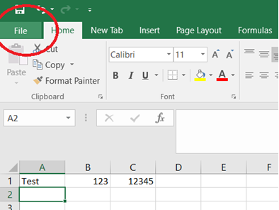 Excel file tab.